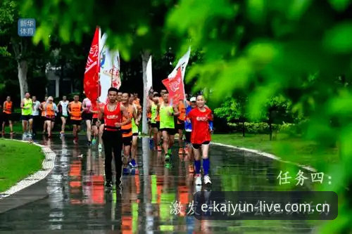 揭秘KAIYUN体育2025新版下载安全吗——老用户的三条实战攻略